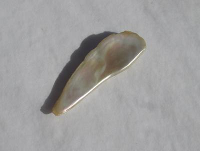 5 carat Abalone Pearl Whitish Iridescence