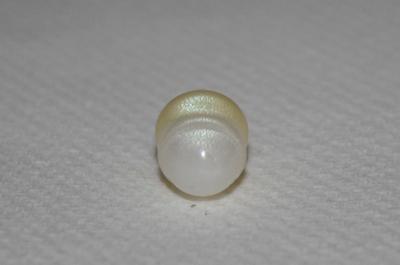 5.9 carat Clam Pearl