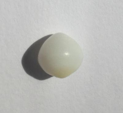 5.90 carats Clam Pearl With with Yellow Tip
