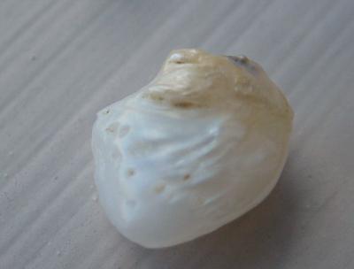 5.7ct Baroque Natural USA Pearl