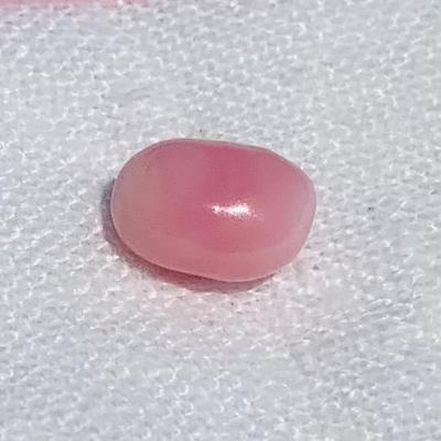 5.22 carat Pretty Pink Conch Pearl Oval 