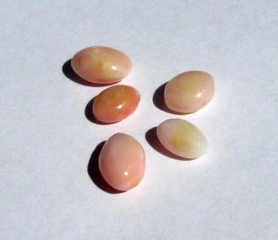 5 Conch Pearls Light Pink Ovals 8+ carats - Total