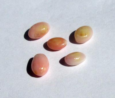 5 Conch Pearls Light Pink Ovals 8+ carats - Total