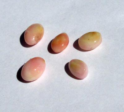 5 Conch Pearls Light Pink Ovals 8+ carats - Total