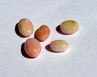 5 Conch Pearls Light Pink Ovals 8+ carats - Total
