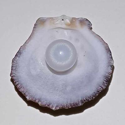 5+ ct Clam Pearl Drop with Flame for Sale