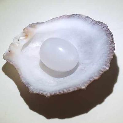 5+ ct Clam Pearl Drop with Flame for Sale