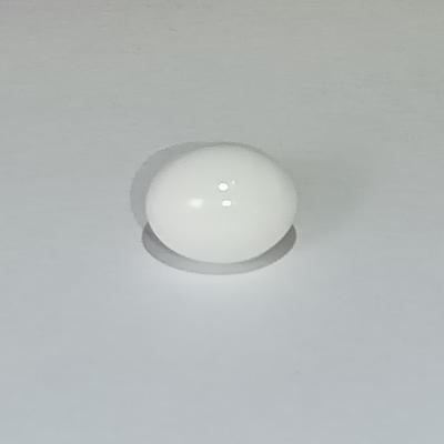 5+ ct Porcellanious Clam Pearl Egg for Sale