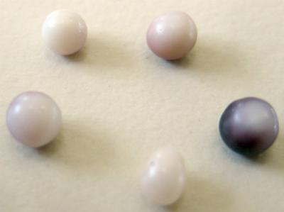 5 natural pearls from blue mussel