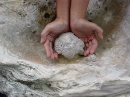 Venus Pearl Diogelocas Pearl