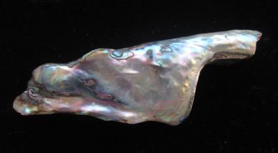 52mm Abalone Pearl Iridescence 25 carats