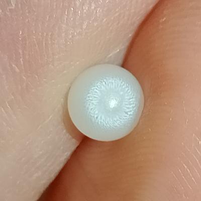 0 8 ct Clam Pearl with Flame for Sale
