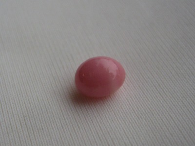 5mm Conch Pearl
