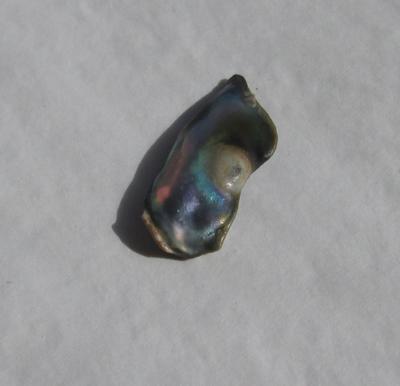 6 carat Abalone Pearl 26mm