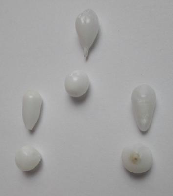 6 Clam Pearl Set - Necklace & Earrings Potential