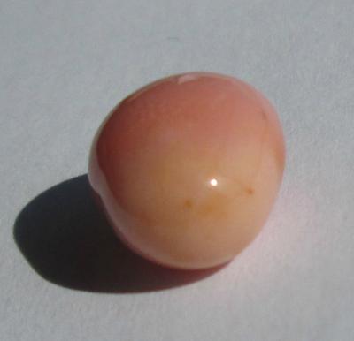 6.70 ct conch pearl