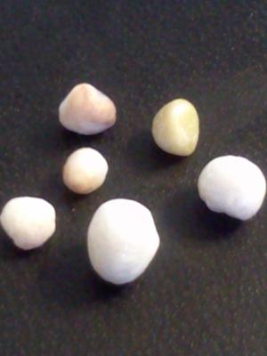 found a pearl in oyster