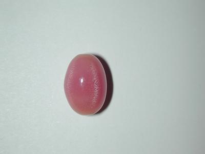 6.54ct Conch Pearl With Flame