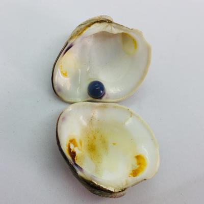 6mm Purple Quahog Pearl for Sale with Original Shell