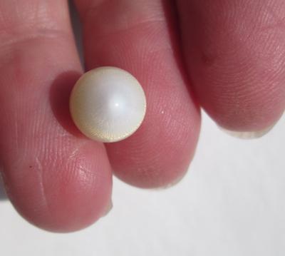 7 carat Clam Pearl with Flame Yellow and White 14mm