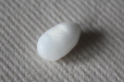 7.55 carat drop shaped clam pearl