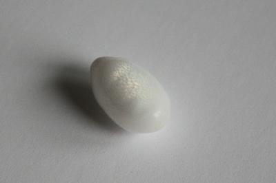 7.55 carat drop shaped clam pearl