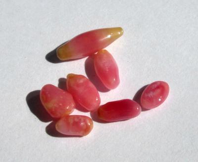 7 Conch Pearls Dark Pink 5-11mm 3+ carats Total 