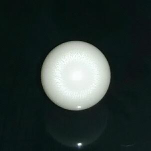 7.3ct clam pearl