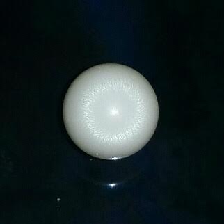 7.3ct clam pearl