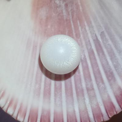 7+ ct Clam Pearl Button for Sale Button Shape