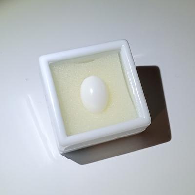 7.5 ct Oval Clam Pearl for Sale