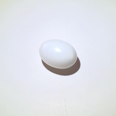 7.5 ct Oval Clam Pearl for Sale