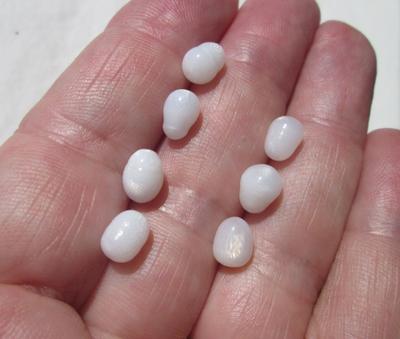 7 Flame Filled Clam Pearls 12 carats Total