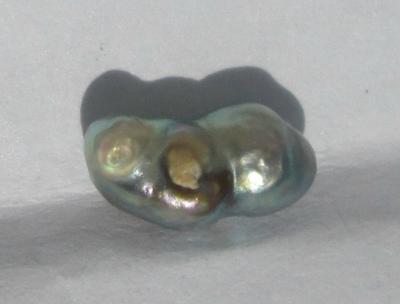 0.65 carat abalone pearl