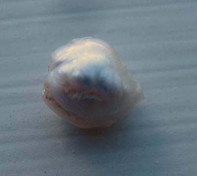 7mm Pink Pearl Natural Freshwater