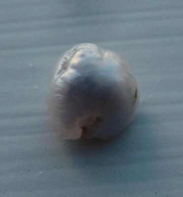 7mm Pink Pearl Natural Freshwater