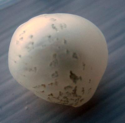 8.95 carat 11mm USA Freshwater Pearl