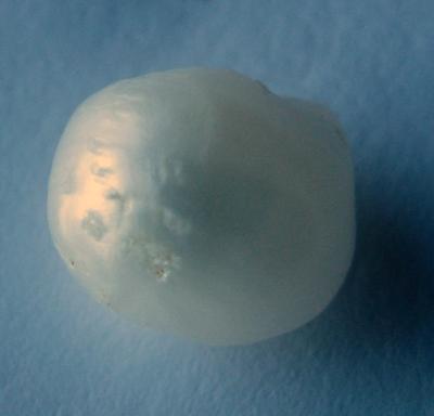 8.95 carat 11mm USA Freshwater Pearl