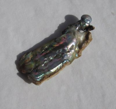 8 carat Abalone Pearl Baroque Iridescence