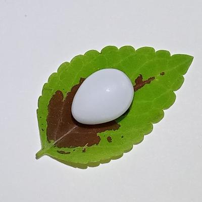 8 ct Clam Pearl Drop for Sale 