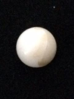 Quahog pearl quahog pearl