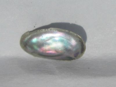 8mm Iridescent Abalone Pearl for Sale