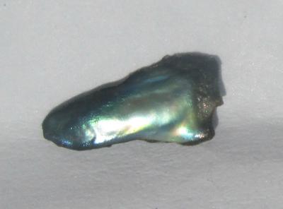 0.20 carat Iridescent Bluish Green Abalone Pearl