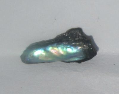 0.20 carat Iridescent Bluish Green Abalone Pearl