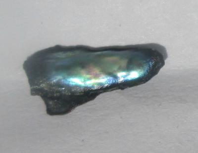 0.20 carat Iridescent Bluish Green Abalone Pearl