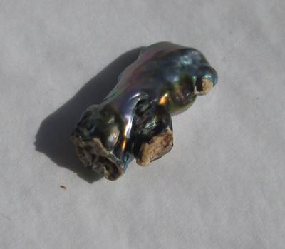 9 carat Abalone Pearl