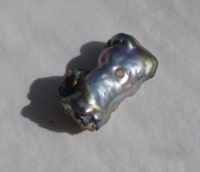 9 carat Abalone Pearl