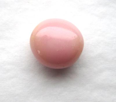 conch pearl