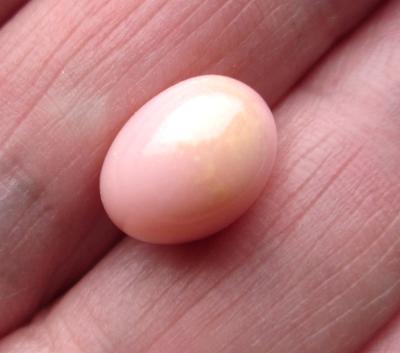 9.15 carat Pastel Pink Conch Pearl Oval Shape