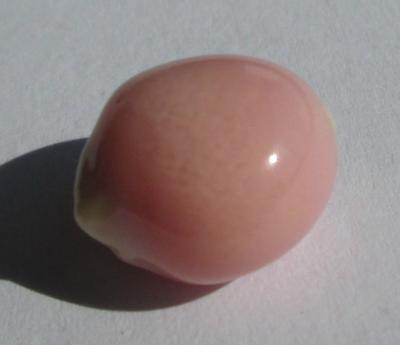 9.25 ct conch pearl with flame